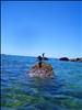 New Zealand - Abel Tasman NP